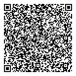 QR код "Серебряный дождь"