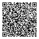 QR код "DOMINO"