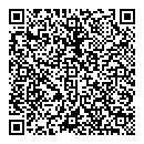 QR код "Глобус"