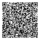 QR код "VIZLA"