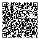 QR код "Lady"