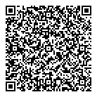 QR код "Вилис"