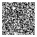 QR код "Shark"
