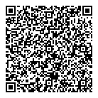 QR код "Salsa Flash"