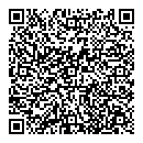 QR код "Рикошет"