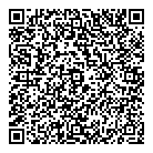 QR код "Динамо"