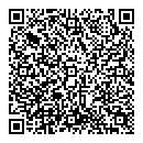 QR код "Динамо"