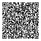 QR код "Ковчег"