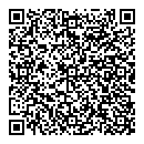 QR код "Chine car"