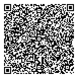 QR код "Звёздный"