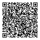 QR код "Domino"