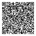 QR код "Алсу"