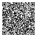 QR код "DOMINO"