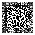 QR код "Fire Shot"