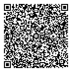 QR код "Domino"