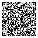 QR код "Мир"
