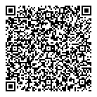 QR код "Дворец-2010"
