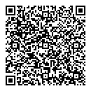 QR код "Блик"
