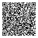 QR код "Скрипка"
