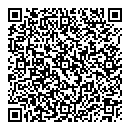 QR код "Алиса"