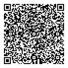 QR код "Аэлита"