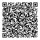 QR код "Алиса"