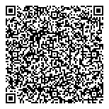QR код "Профессионал"