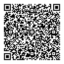 QR код "Донбасс-95"