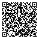 QR код "Аэлита"