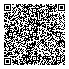 QR код "Solving"
