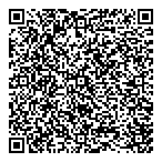 QR код "Донецкий институт"