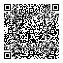 QR код "Indigo"