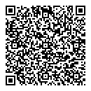 QR код "bugatti"