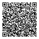 QR код "Два жирафа"