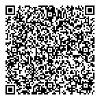QR код "Domino Collection"