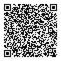 QR код "Lady"