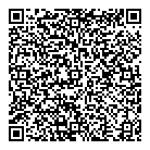 QR код "anyBag"