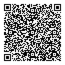 QR код "Аякс, ЧП"