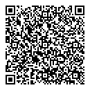 QR код "Сатурн"