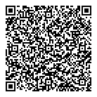 QR код "Новый мир"