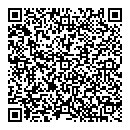 QR код "Молния"