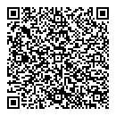 QR код "Динамо"