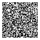 QR код "Fit Curves"