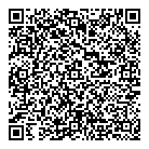 QR код "Профессионал"