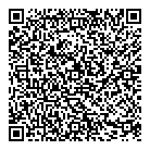 QR код "Кот в мешке"
