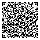 QR код "Сетевик"