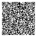 QR код "Аниле Логистик"