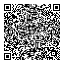 QR код "Глобус"