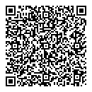 QR код "Свет"