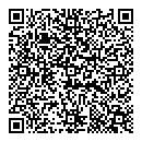 QR код "Торус"